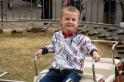 geelong show 08_20